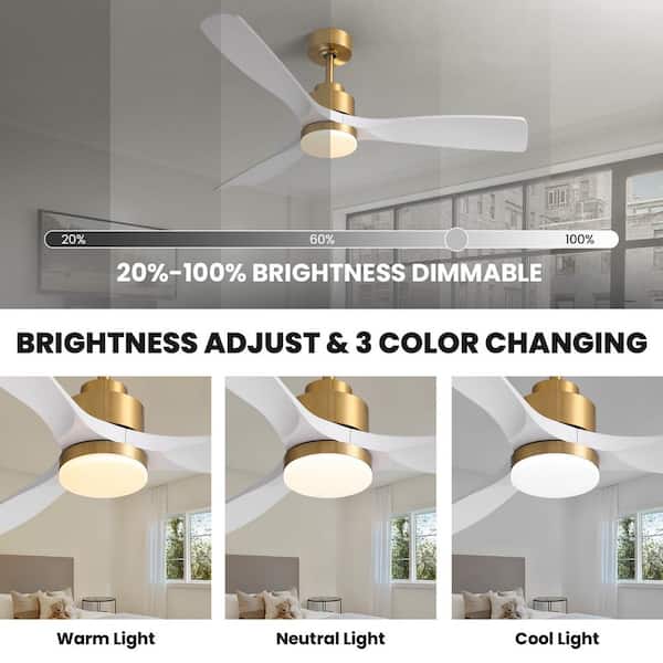 Pacific Core 52 in. Smart Indoor White and Gold Low Profile