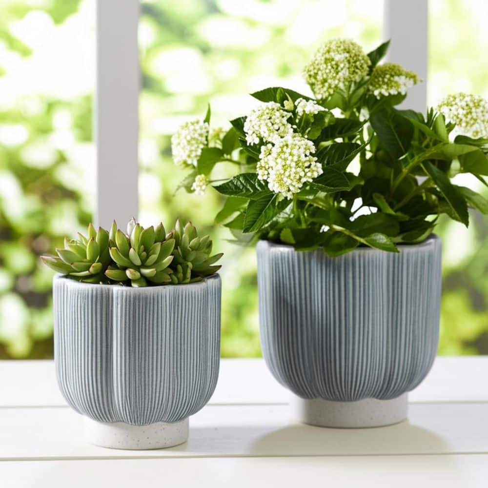 Liv & Skye 6 in. and 8 in. Green Ceramic Scallop Shaped Decorative