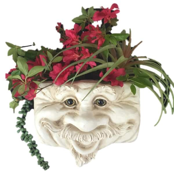 HOMESTYLES Uncle Nate 10.5 in. Antique White the Muggly Face Statue Tree and Resin Patio Wall Planter