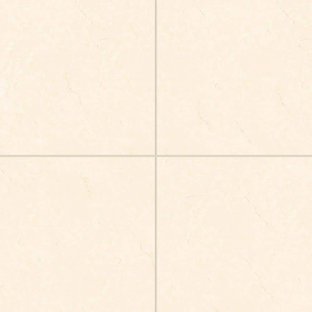 Shandar 24" x 24" Polished Crema Marfil Light Porcelain Tile