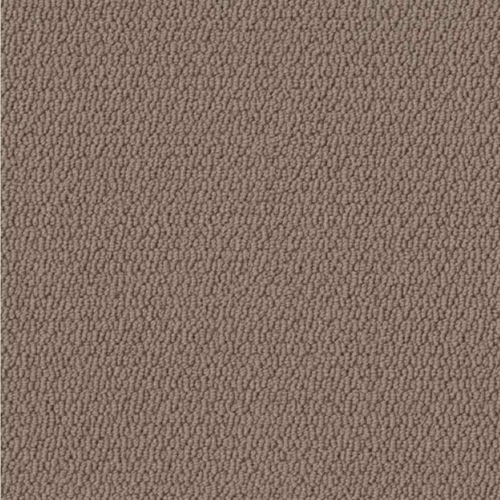 Home Decorators Collection 8 in x 8 in. Loop Carpet Sample - Hickory Lane - Color Cashmere -  HDF4646703
