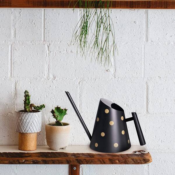 thumbnail image 2 of Alvinlite Watering Can Indoor Plants Small Stainless Steel 2 of 12