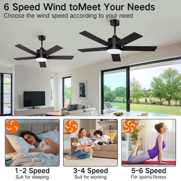 42 in. Indoor/Covered Outdoor Black Modern Adjustable Color Temperature Ceiling Fan Light with Remote
