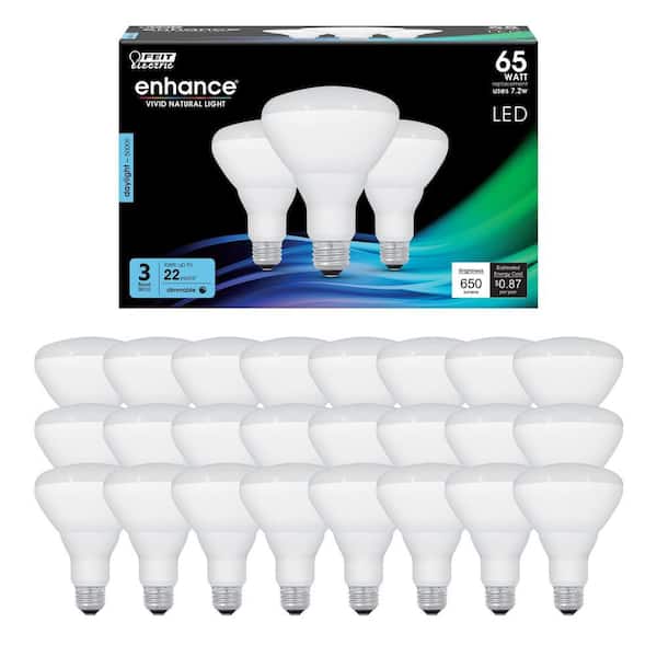 65-Watt Equivalent BR30 Dimmable CEC Enhance 90+ CRI CEC Title 20 E26 Flood LED Light Bulb, Daylight 5000K (24-Pack)