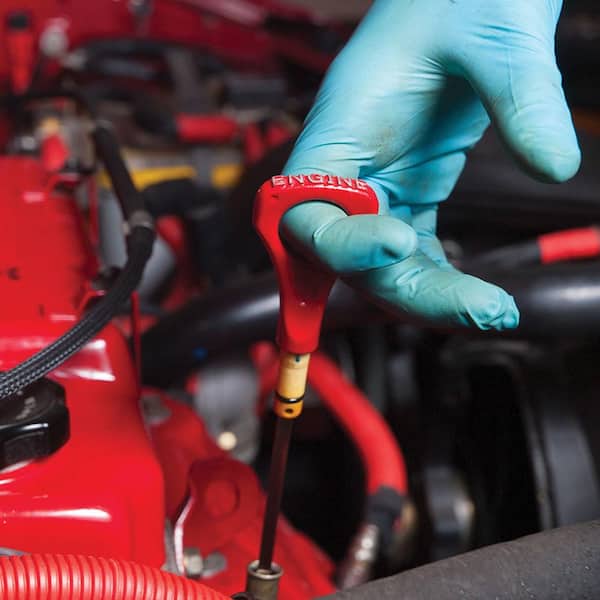 1 Size Fits Most Nitrile Disposable Gloves (50-Count)