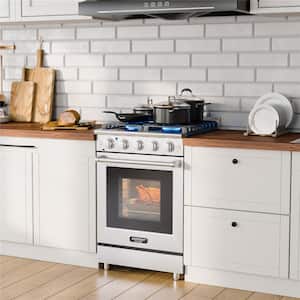 24 in. 3.73 cu. ft. 4-Burners Natural Gas Range in Silver with Cooktop and Oven