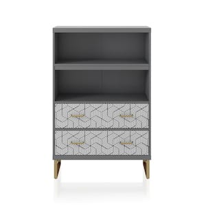 Scarlett 47.25 in. Graphite Gray 2-Shelf Bookcase with Drawers