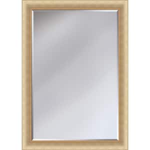25.38 in. W x 35.38 in. H Rectangle Wood Andover Champagne Framed Gold Decorative Mirror