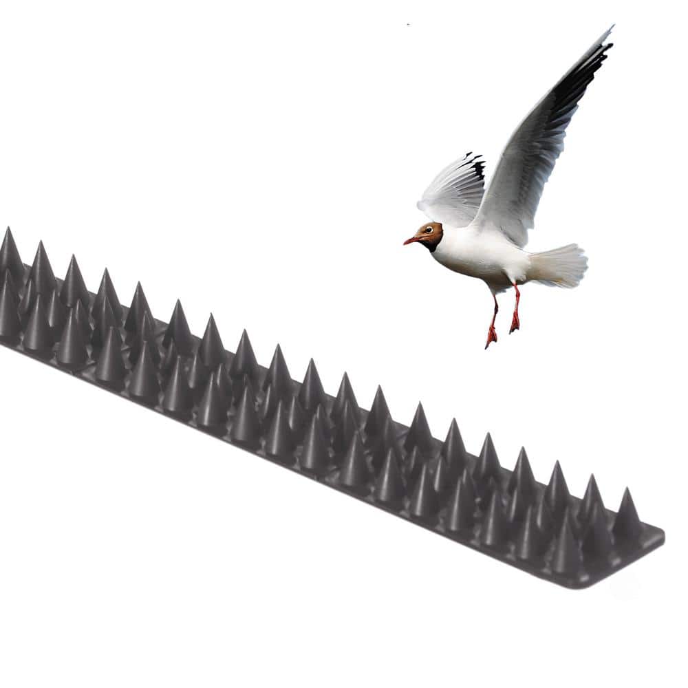 Pack of 10 Black Plastic Bird Deterrent Spikes for Fence and Wall