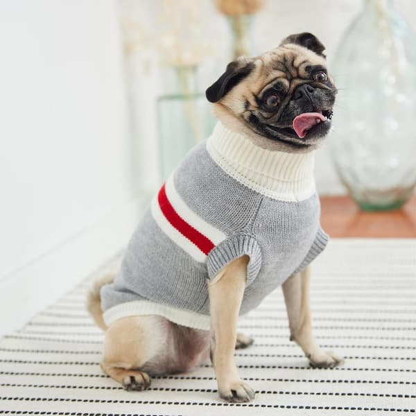 Dog Clothes & Accessories
