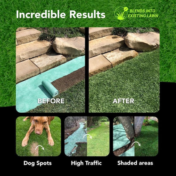 GROWTRAX 50 sq. ft. Quick Fix Year Round Green Mixture 802 - The