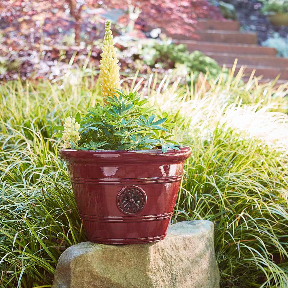Oxblood Resin 15.25" Modesto Planter for Indoor & Outdoor