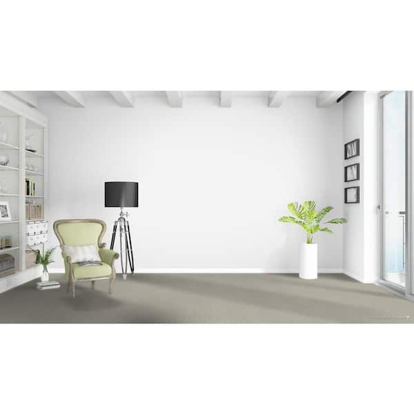Dovetail - Tally - Beige 45 oz. SD Polyester Pattern Installed Carpet