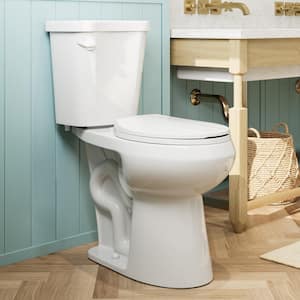 19 in. tall 2-piece 1.28 GPF Single Flush Round Toilet Map Flush 1000g, Soft-Close Seat Included