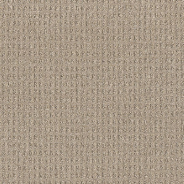 Home Decorators Collection Amaryllis-Santiago Beige-35 oz. SD Polyester Pattern Installed Carpet