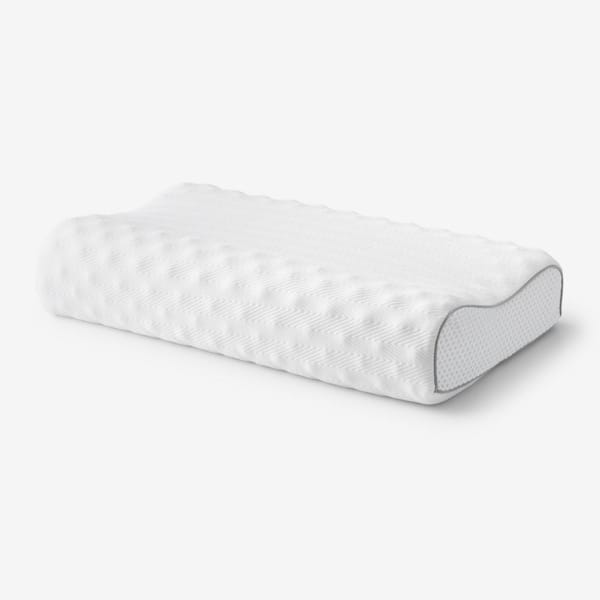 Linenspa Essentials Talalay Queen Latex Pillow LZESQQHFLX - The Home Depot