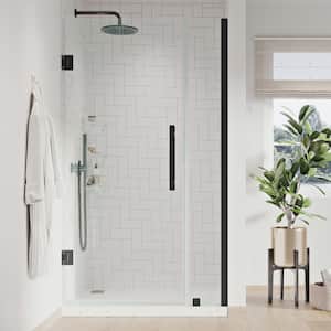 Tampa-Pro 31 1/16 in. W x 72 in. H Pivot Frameless Shower in Black with Shelves