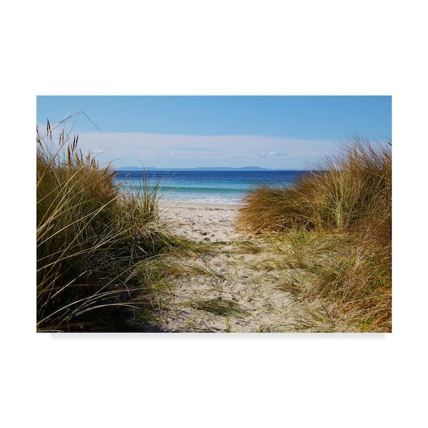 Trademark Fine Art 12 in. x 19 in. To The Beach by Incredi Hidden Frame Nature Wall Art