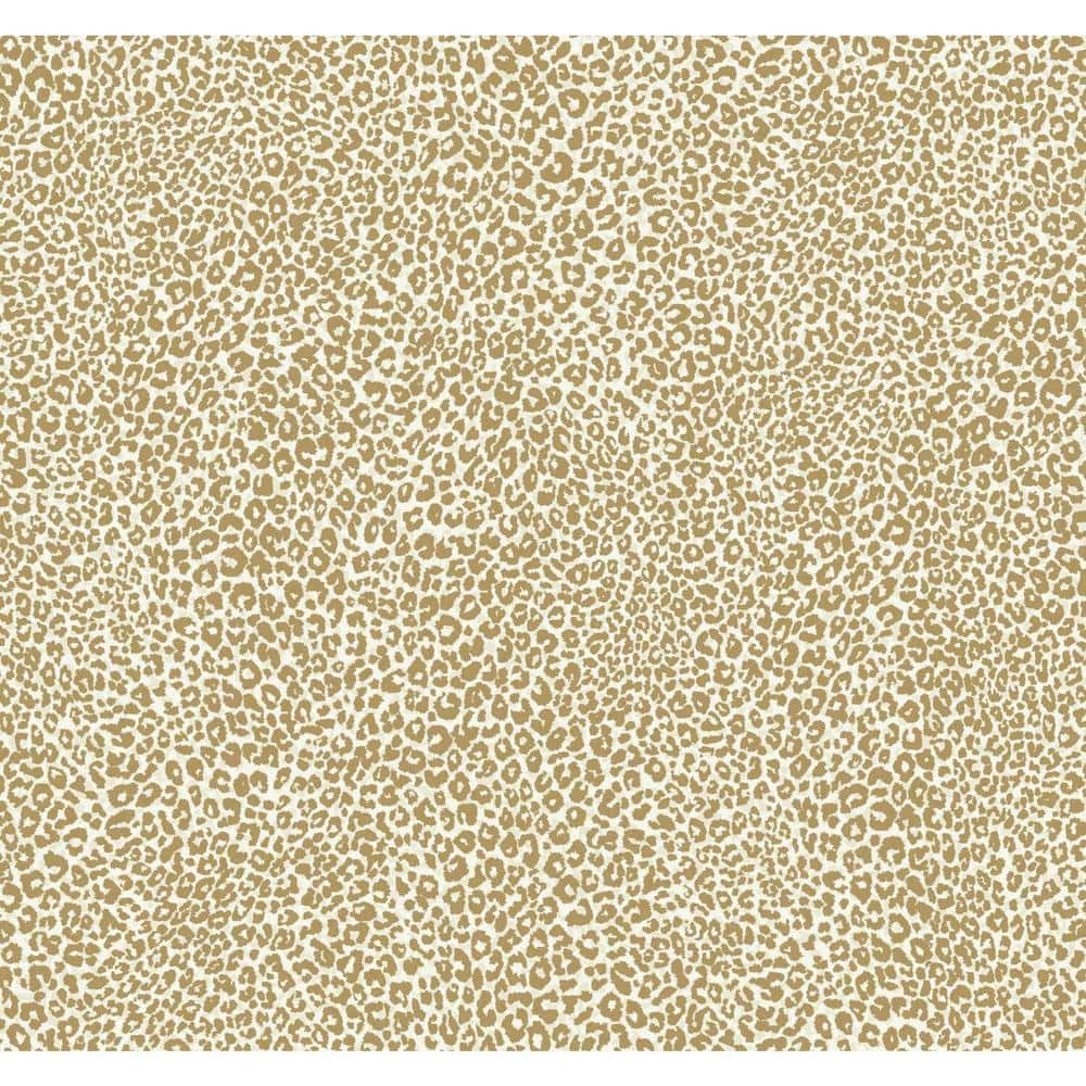 York Wallcoverings Ks2303 Cool Kids Multi Color Leopard Wallpaper