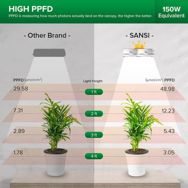mister plant Plant Mister – PlantOrb main image 0