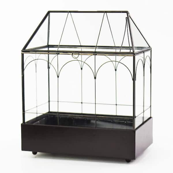 9.5 in. W x 5.7 in. D x 11.4 in. H Large Tall Glass Plant Terrarium, House Succulent Terrarium Kit with Lip and Tray