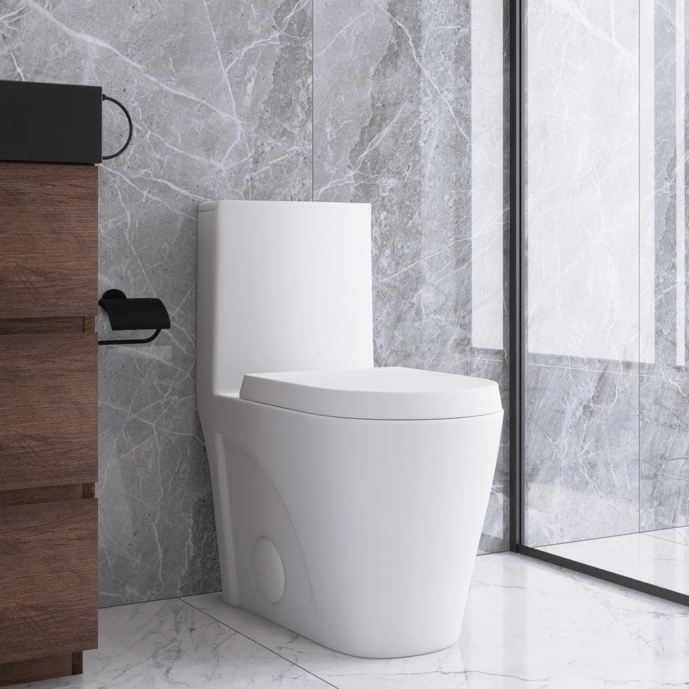 1-Piece 1.1/1.6 GPF Dual Flush Elongated Toilet in Glossy White TYBTT01 ...