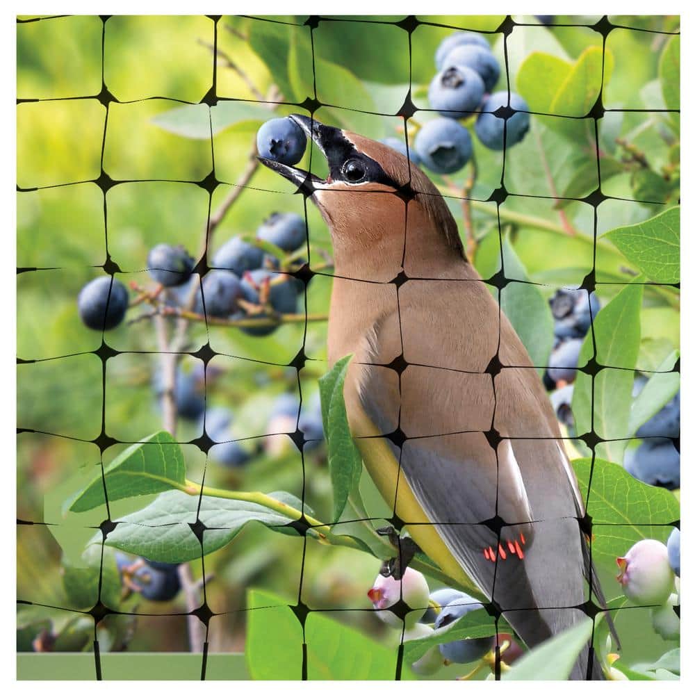 14 ft x 14 ft Black Reusable Bird Netting for Garden Protection