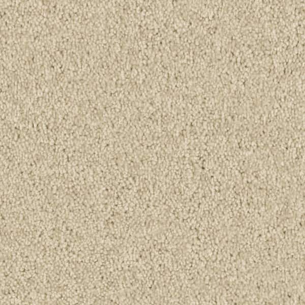 Beaulieu Carpet Sample - Team Builder - In Color Blank Canvas 8 in. x 8 in.