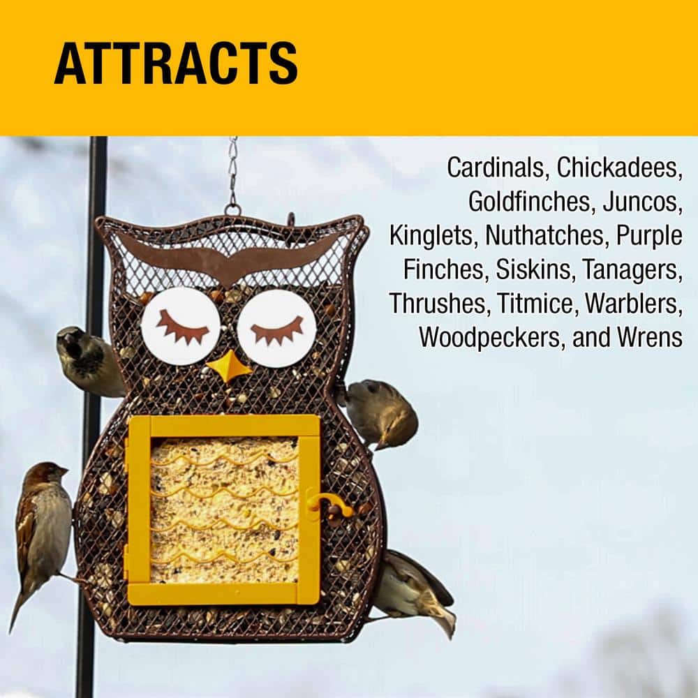 Whimsical Owl Brown Metal Hanging Suet Cage with Hook