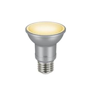 50-Watt Equivalent PAR20 Dimmable Adjustable Beam Angle LED Light Bulb Bright White (2-Pack)