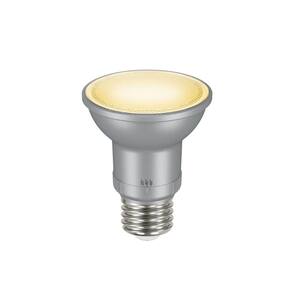 60 watt led flood light bulbs