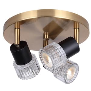 Elsee 2 ft. Gold and Matte Black Halogen Ceiling Mounted Hard Wired Track Lighting Kit with Cylinder Head