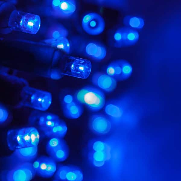 Wintergreen Lighting 24 ft. 70-Light Blue 5 mm LED Mini Light Set
