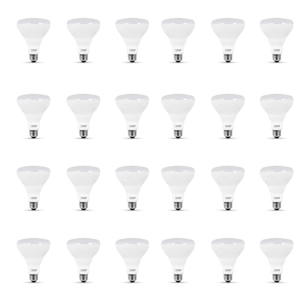 65-Watt Equivalent BR30 Dimmable CEC Title 20 90+ CRI E26 Flood LED Light Bulb, Soft White 2700K (24-Pack) price history on PriceWatchPro