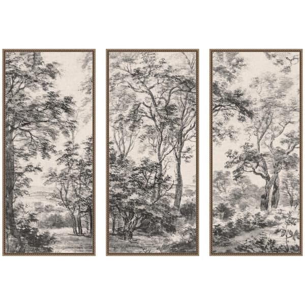 3 Piece Sylvie "Wooded 1648 Antonie Waterloo" by Nostalgia Prints Nature Framed Art Print Set 40 in. x 18 in.
