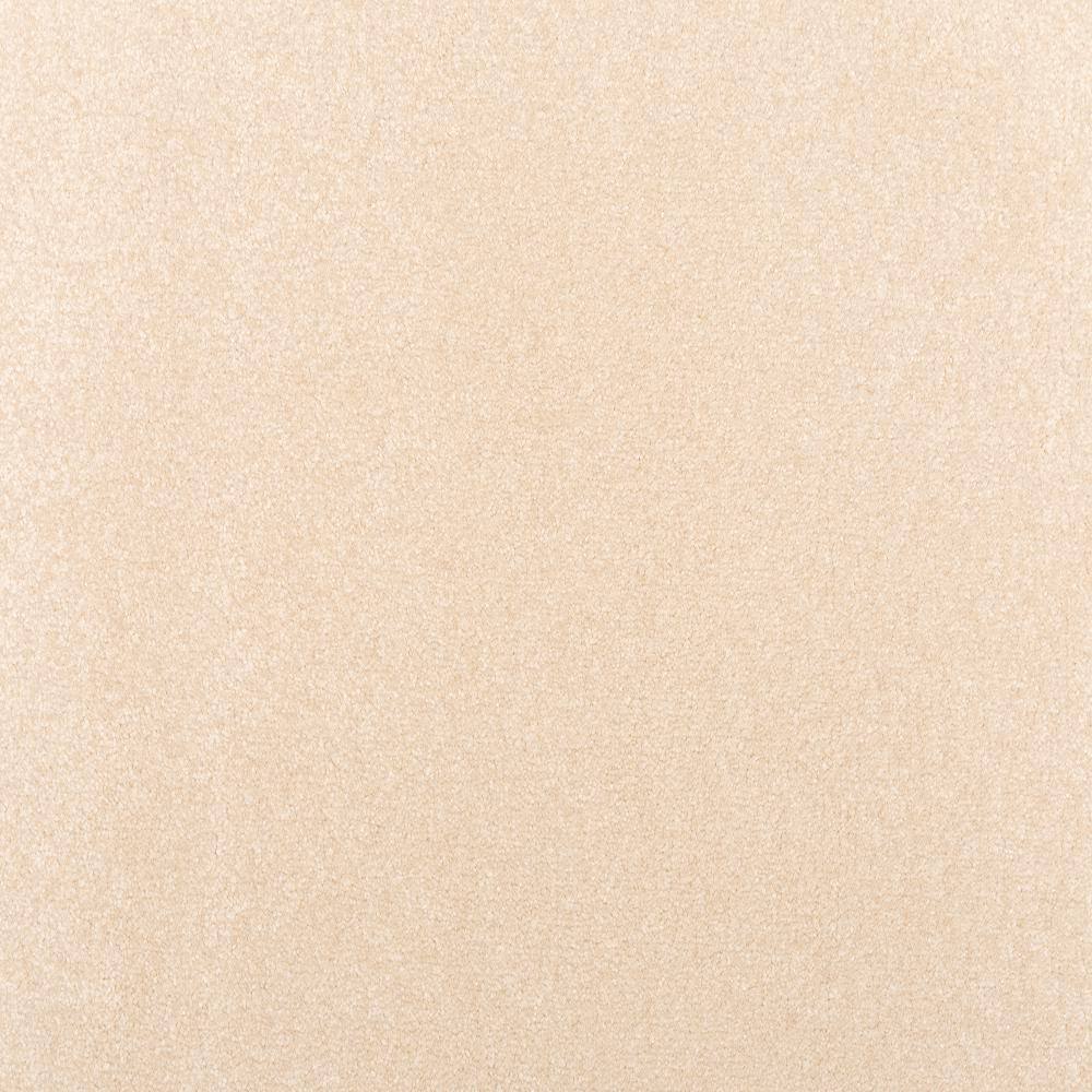 8 in. x 8 in. Texture Carpet Sample - Waking Up II - Color Hazy price history on PriceWatchPro