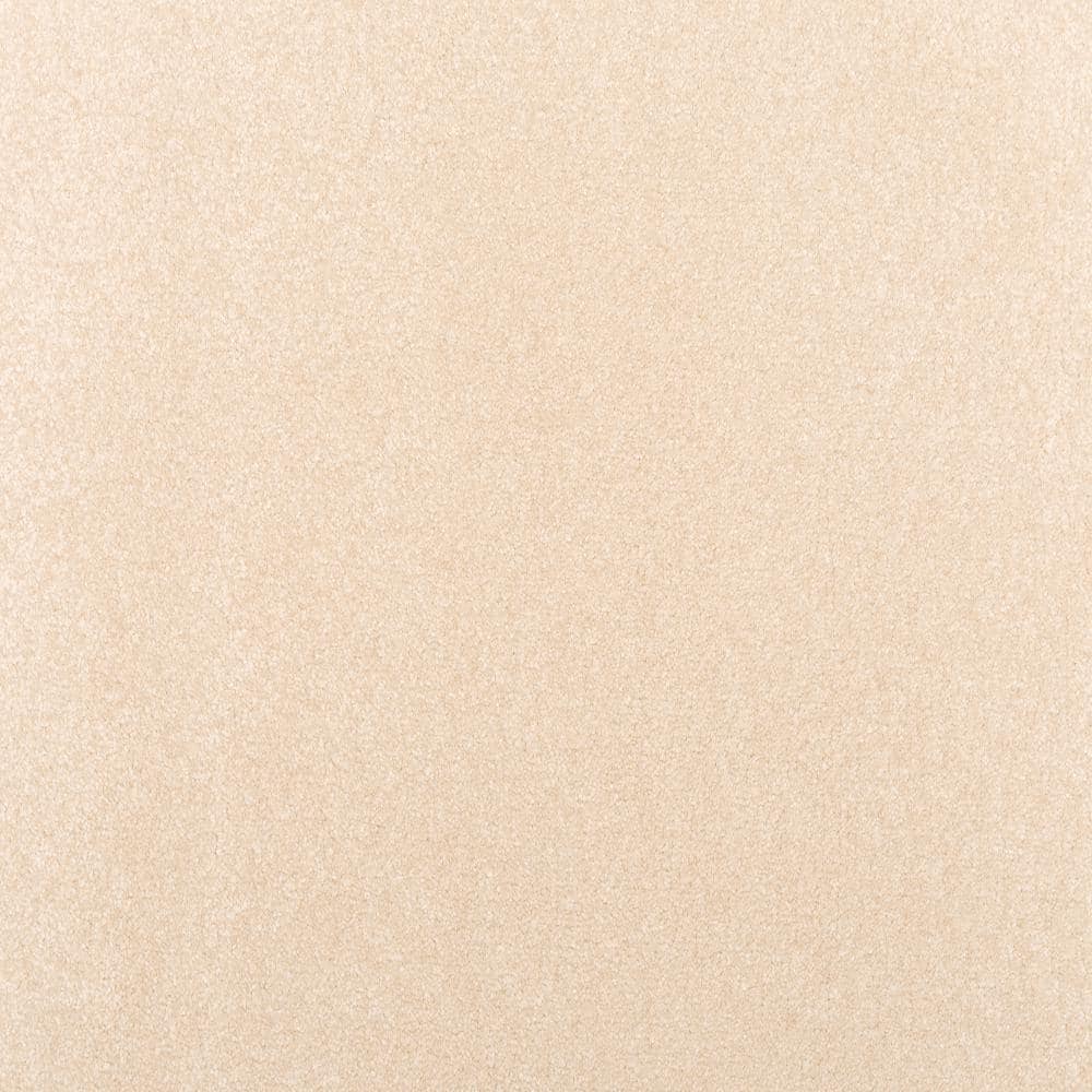 8 in. x 8 in. Texture Carpet Sample - Waking Up I - Color Hazy price history on PriceWatchPro