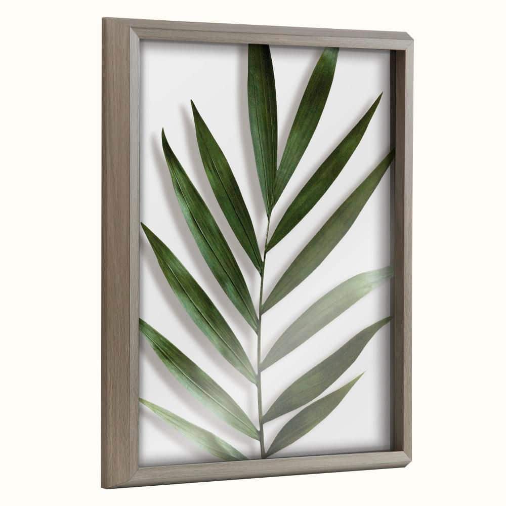 "Blake ""Botanical 5F"" by Amy Peterson Art Studio Plants Framed Glass Art Print 20 in. x 16 in." price history on PriceWatchPro