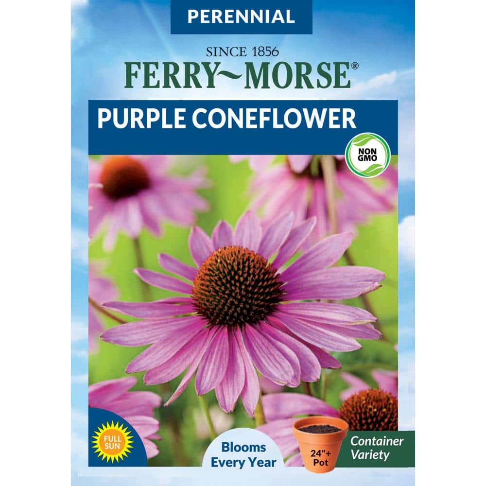 Ferry-Morse Purple Coneflower Flower Seed 5611 - The Home Depot