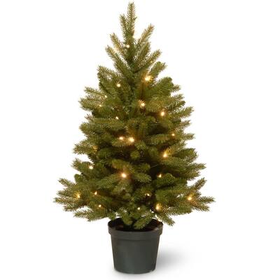 3 ft. Jersey Fraser Fir Artificial Christmas Tree with Battery Operated Warm White LED Lights