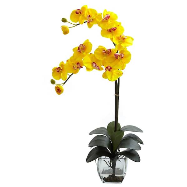 Nearly Natural Double Phalaenopsis Orchid with Vase Arrangement in Yellow