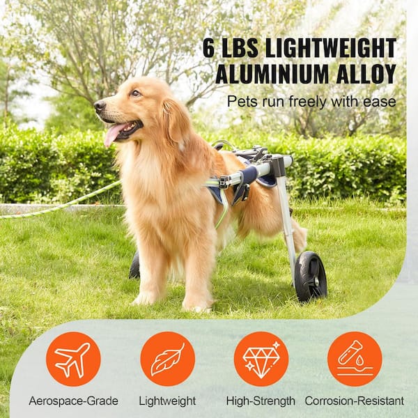 SKYSHALO 2 Wheels Dog Wheelchair for Back Legs, Pet