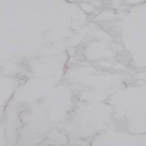 Take Home Tile Sample - Carrara 4 in. x 4 in. Polished Porcelain Floor and Wall Tile
