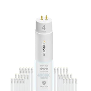 Home Depot Tool Rental Snohomish: Affordable, Reliable Solutions