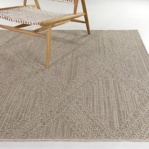 Chapin Taupe 7 ft. 10 in. x 10 ft. Textured Indoor/Outdoor Area Rug
