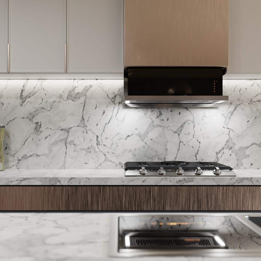 Fotile 36" Stainless Steel and Black Insert Range Hood