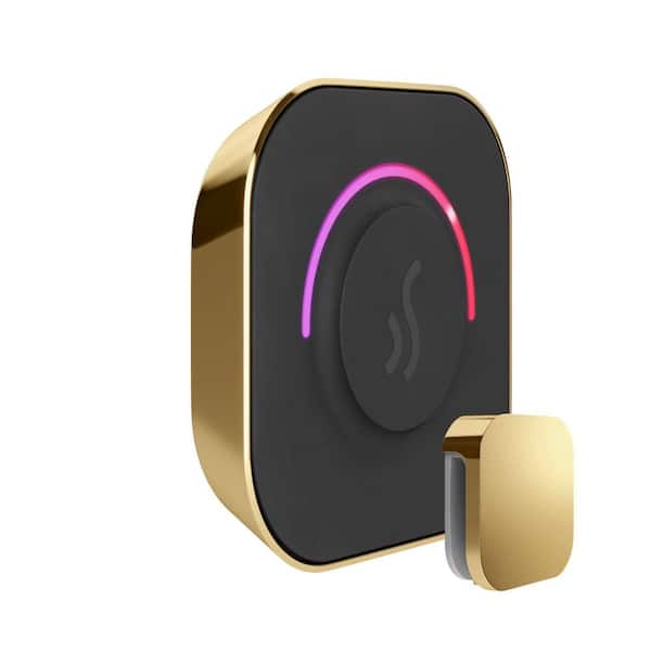 Tempotouch  Steam Generator Control Kit In Polished Brass