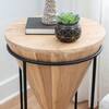 Lariat cone table holding books and a succulent.