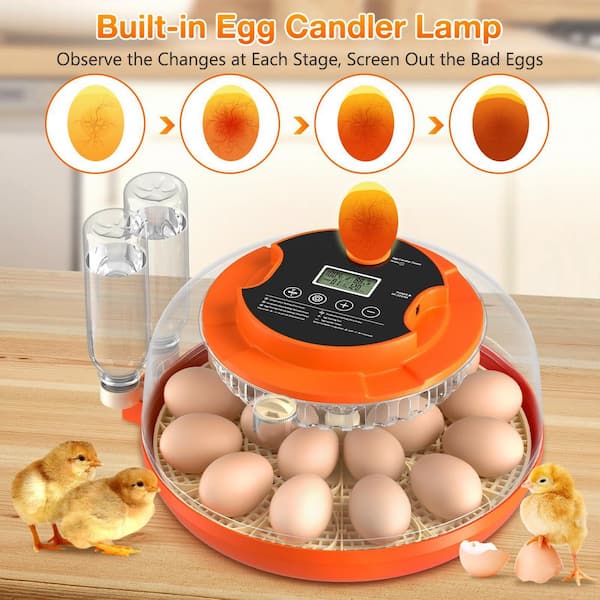18 Egg Incubator With Auto Turn & Humidity Control 360° View For Chicken/Duck/Goose/Quail Eggs, Egg Candler Included