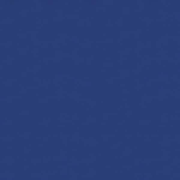 44 in. x 44 in. x 4 in. Indoor Papasan Cushion in Blue